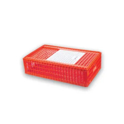 Mountain fox notebook