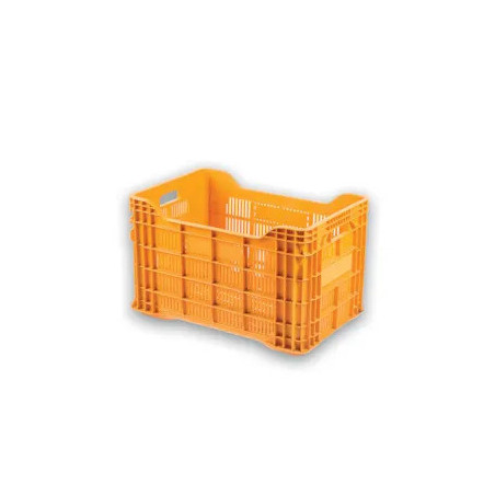 Mug The adventure begins