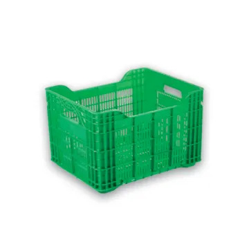 WhatsApp Image 2026-02-24 at 12-55-09 (3).jpeg